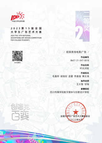 第15届大广赛 全国总评审 二等奖